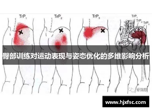 臀部训练对运动表现与姿态优化的多维影响分析